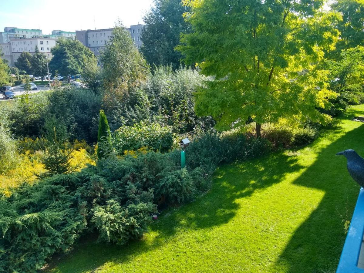 Green Apartment Z Bezplatnym Parkingiem Olsztyn  Extérieur photo