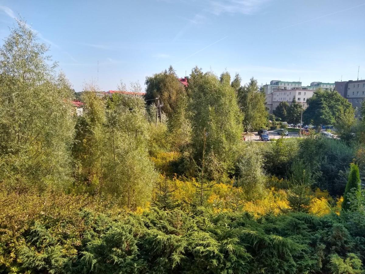 Green Apartment Z Bezplatnym Parkingiem Olsztyn  Extérieur photo